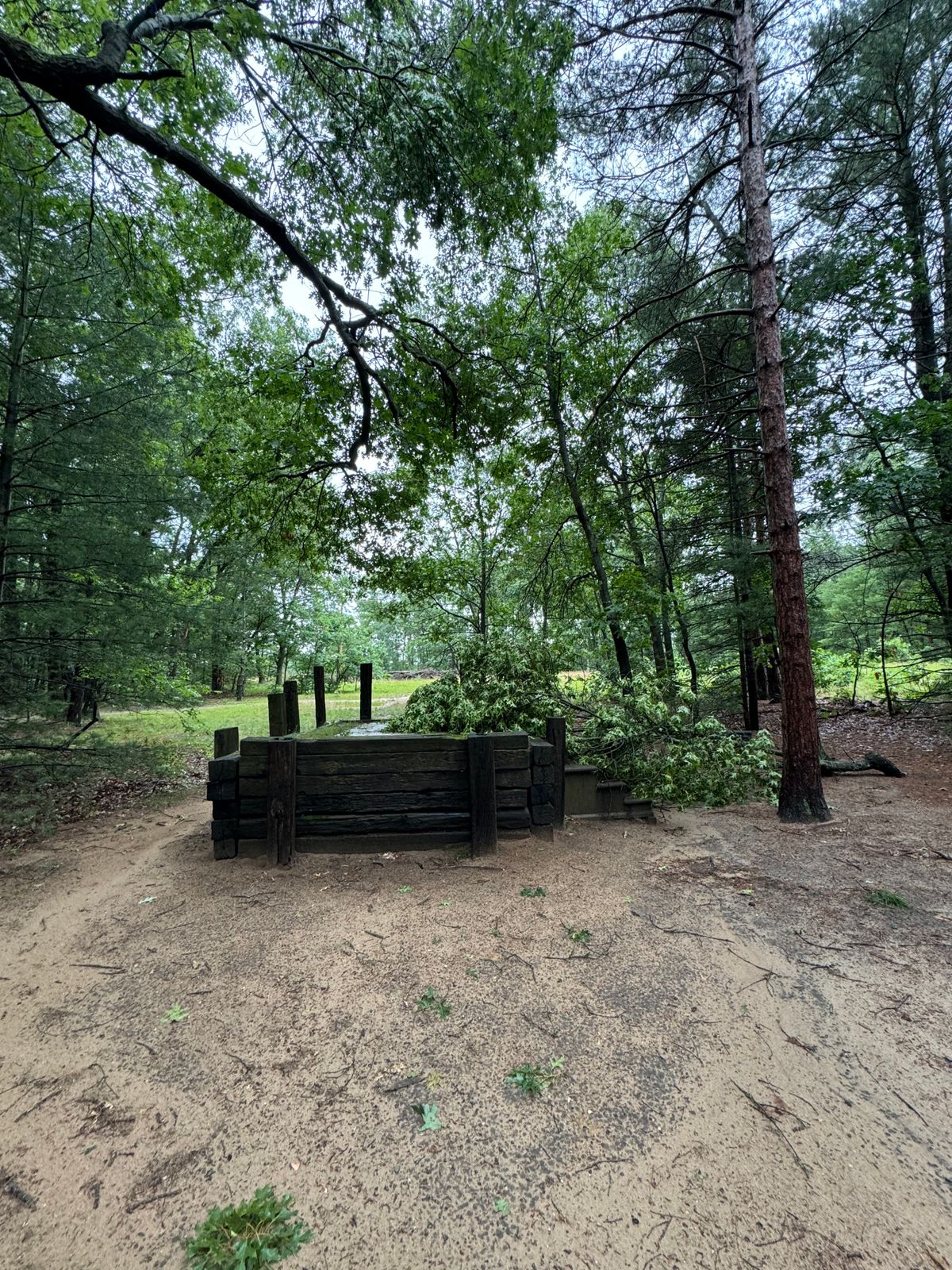 Tree down on 8s long tee