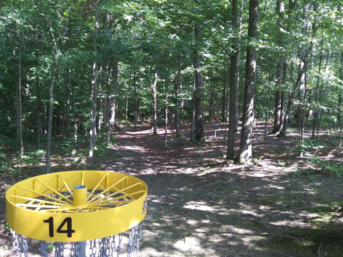 #14 from long target with red visible to the right.