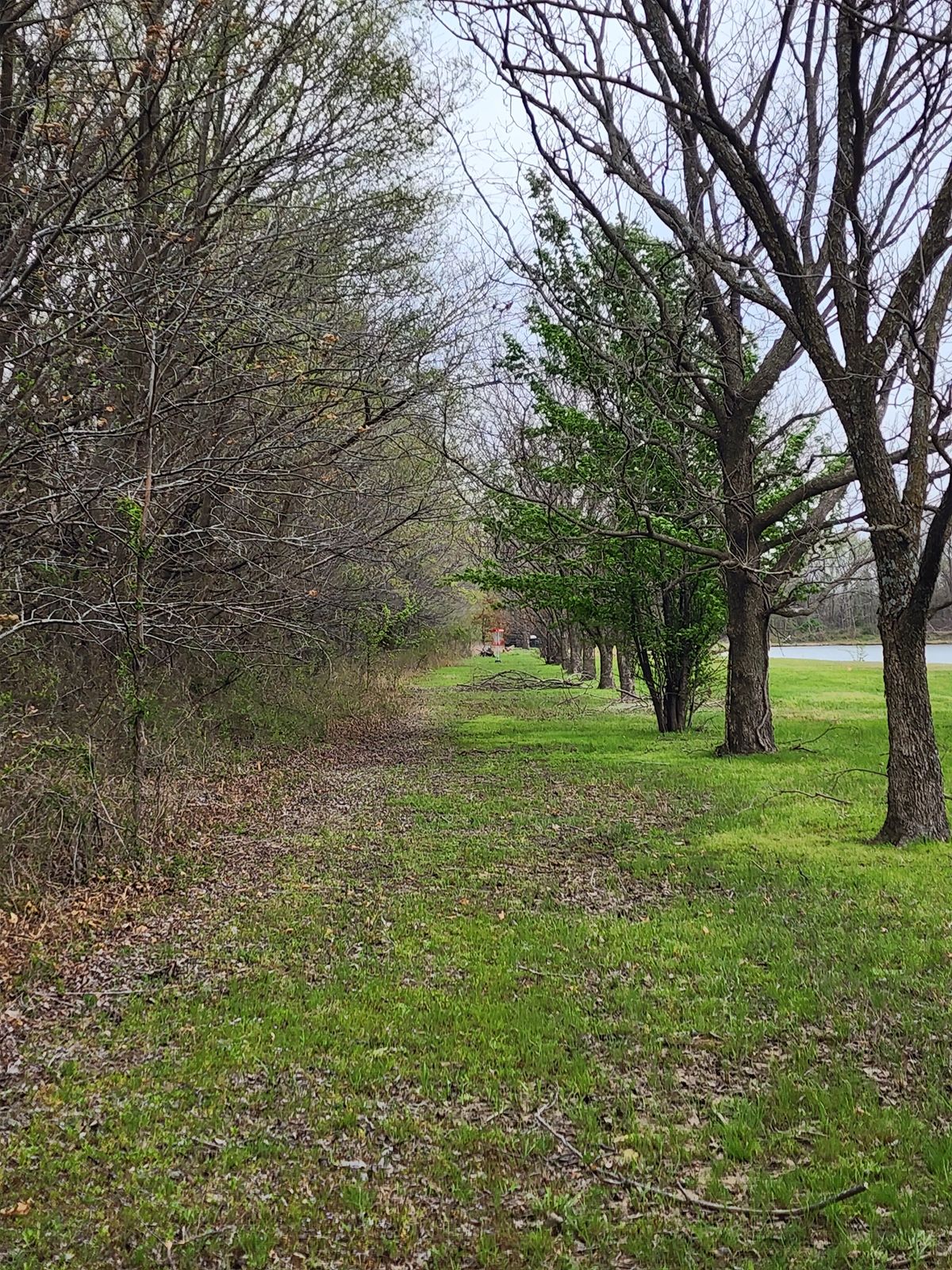 Old 15 tunnel