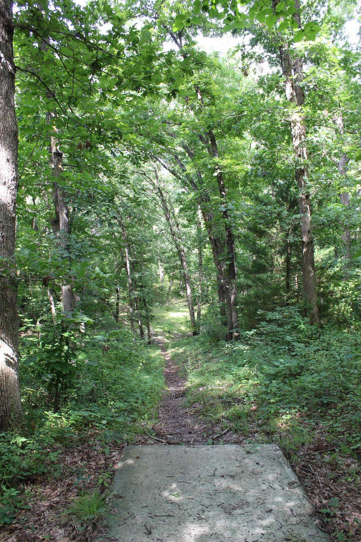 Hole 14 (Tee)