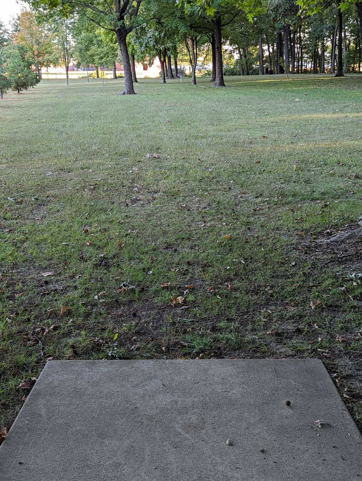 Hole 8 Teebox