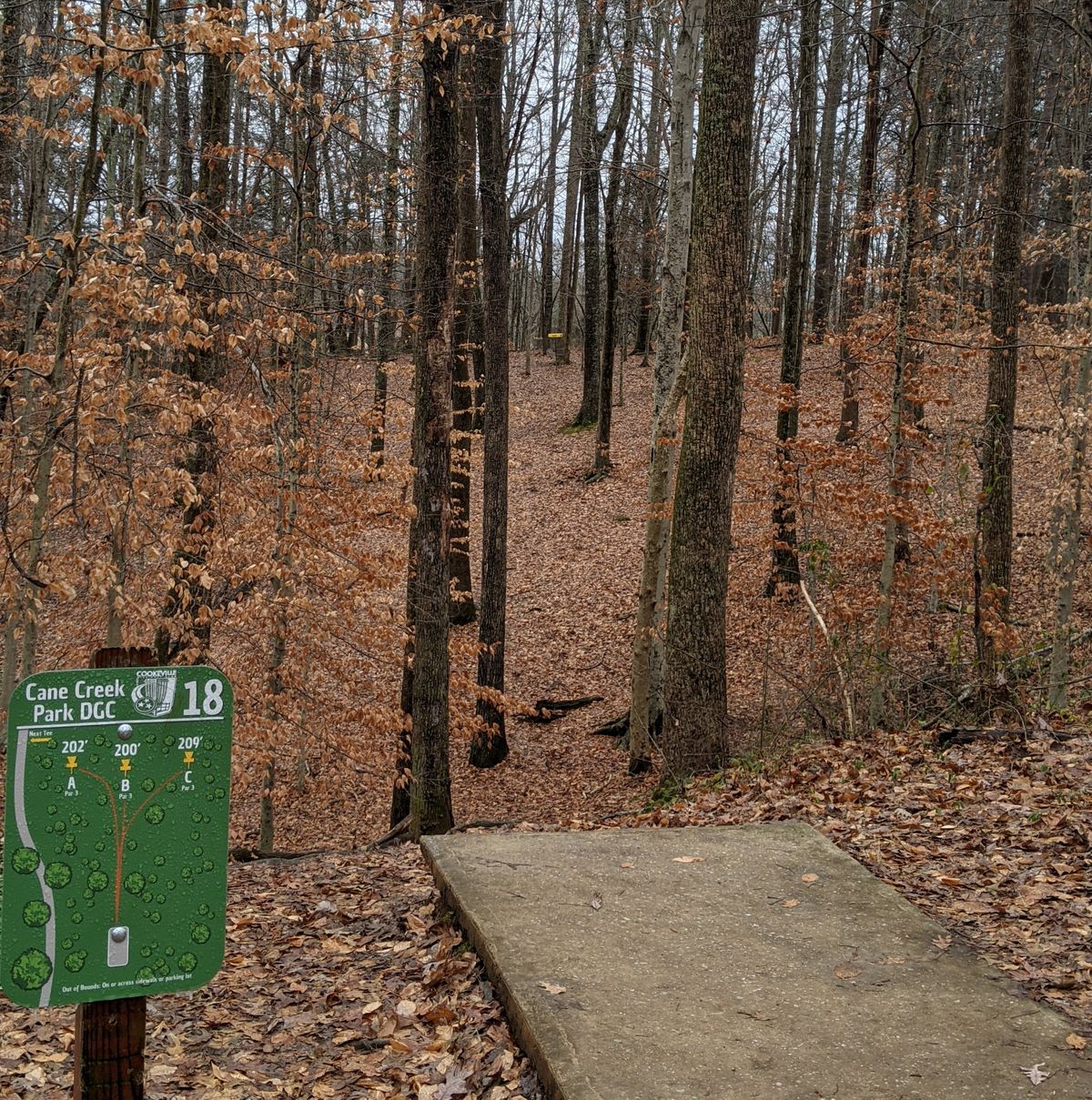 Hole 18 in December '20