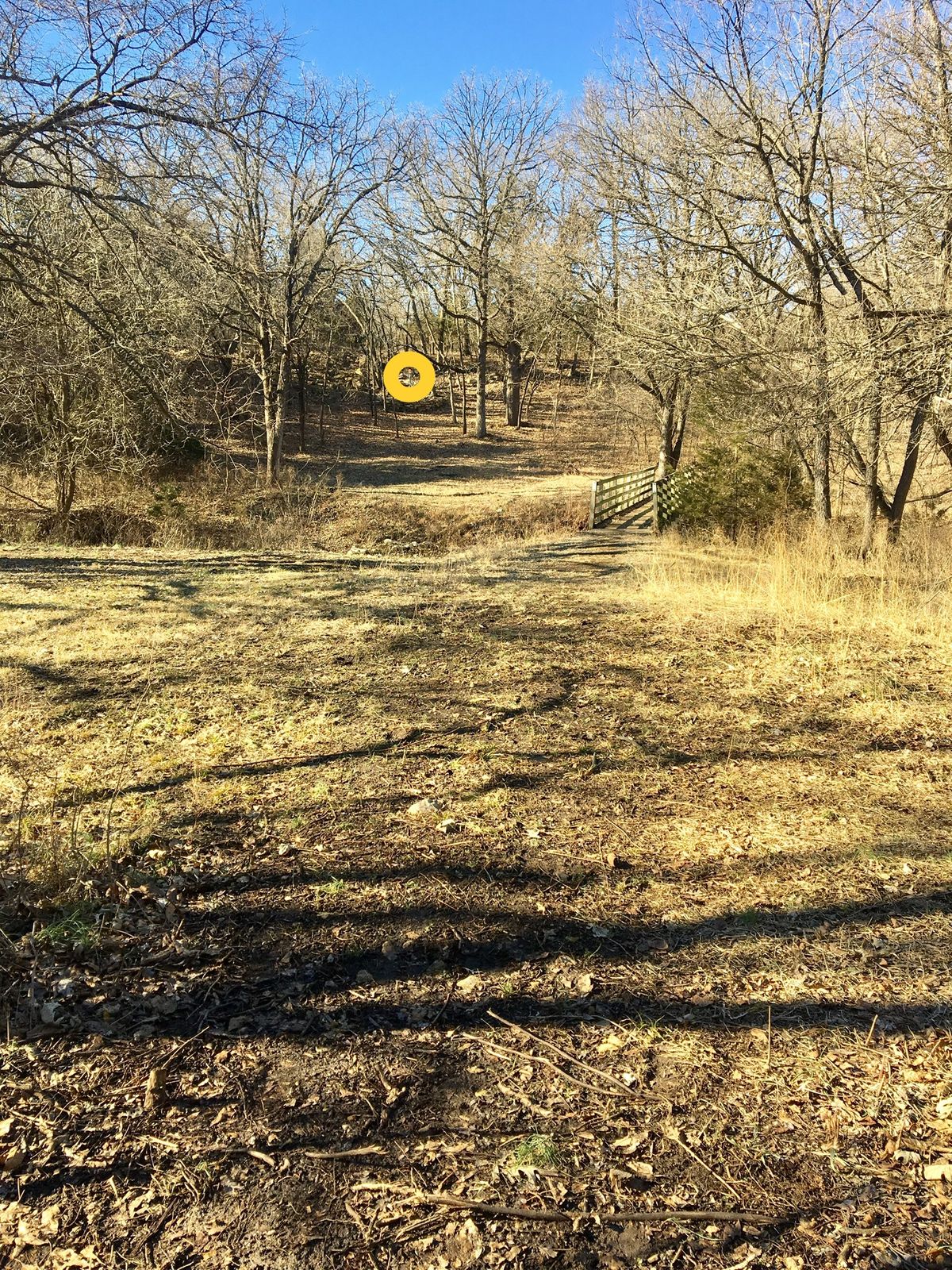 Hole 11 Tee