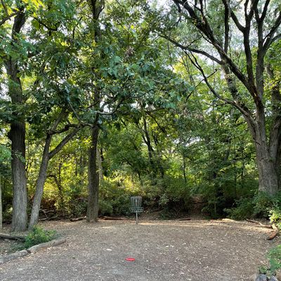Basket at hole 9