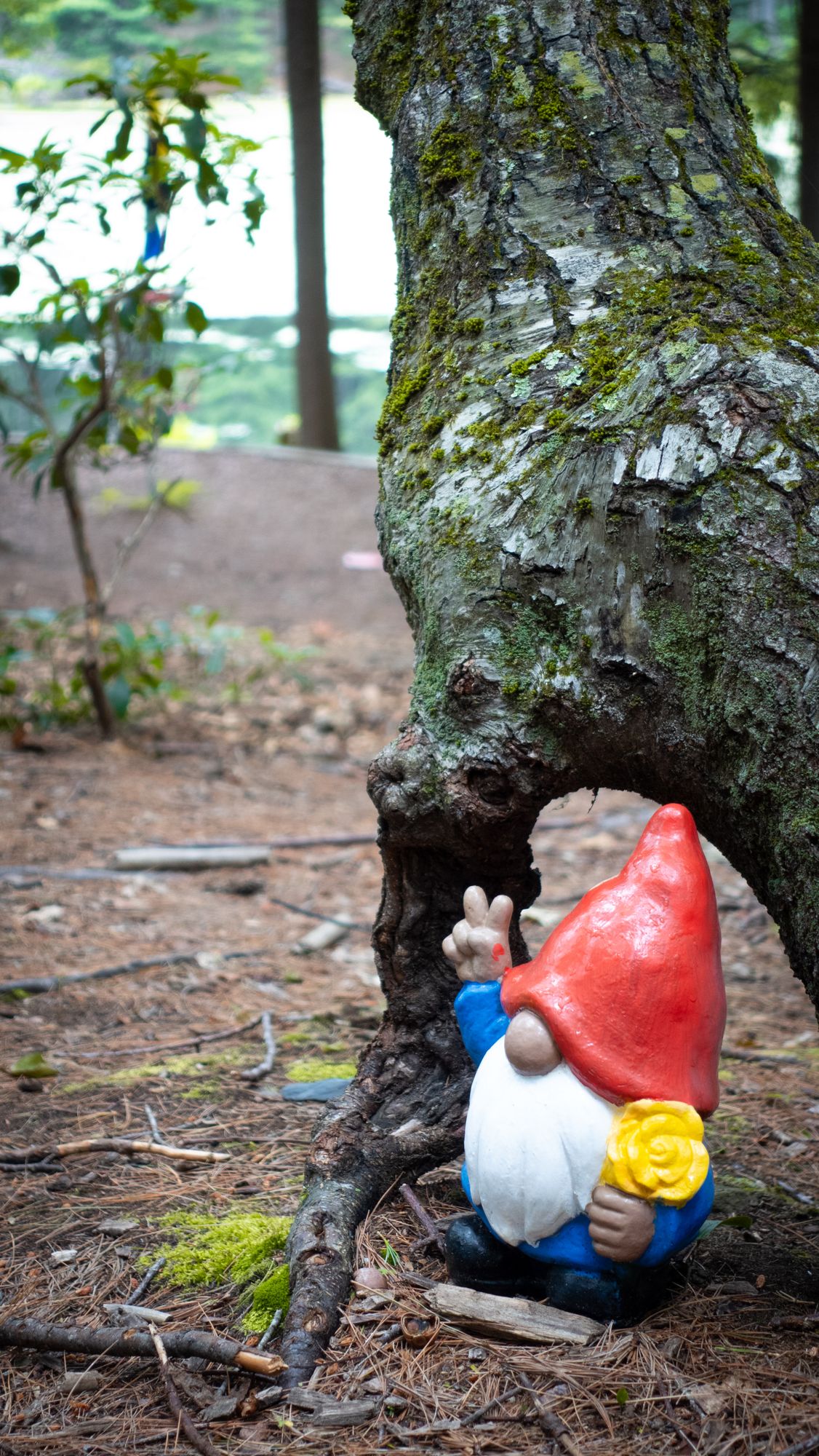 Hole 4 and a gnome