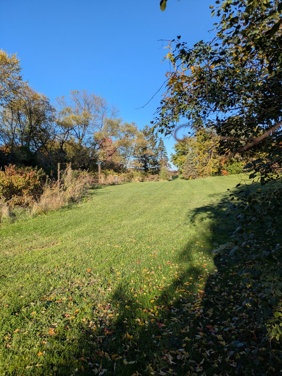 Pin locations on hole 4.