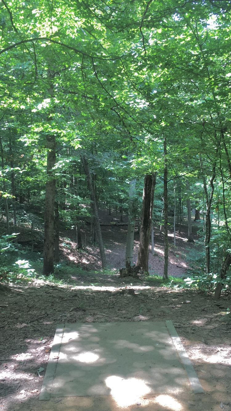 Hole 13 short tee to A pin.