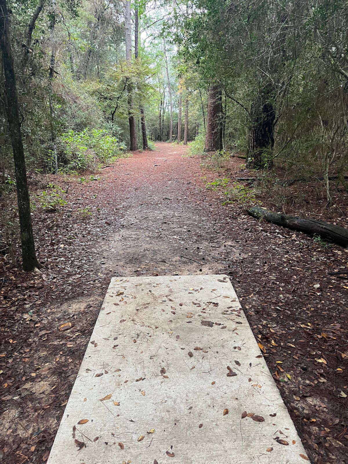 Hole 4 11/11/23