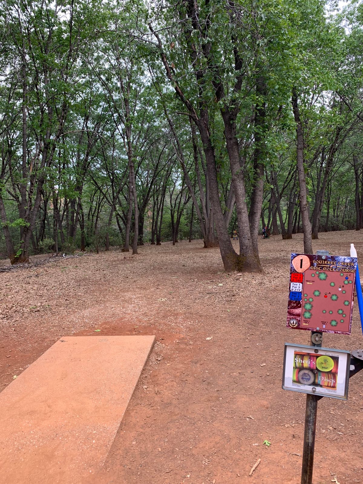 Squirrel Creek DGC at Condon Park