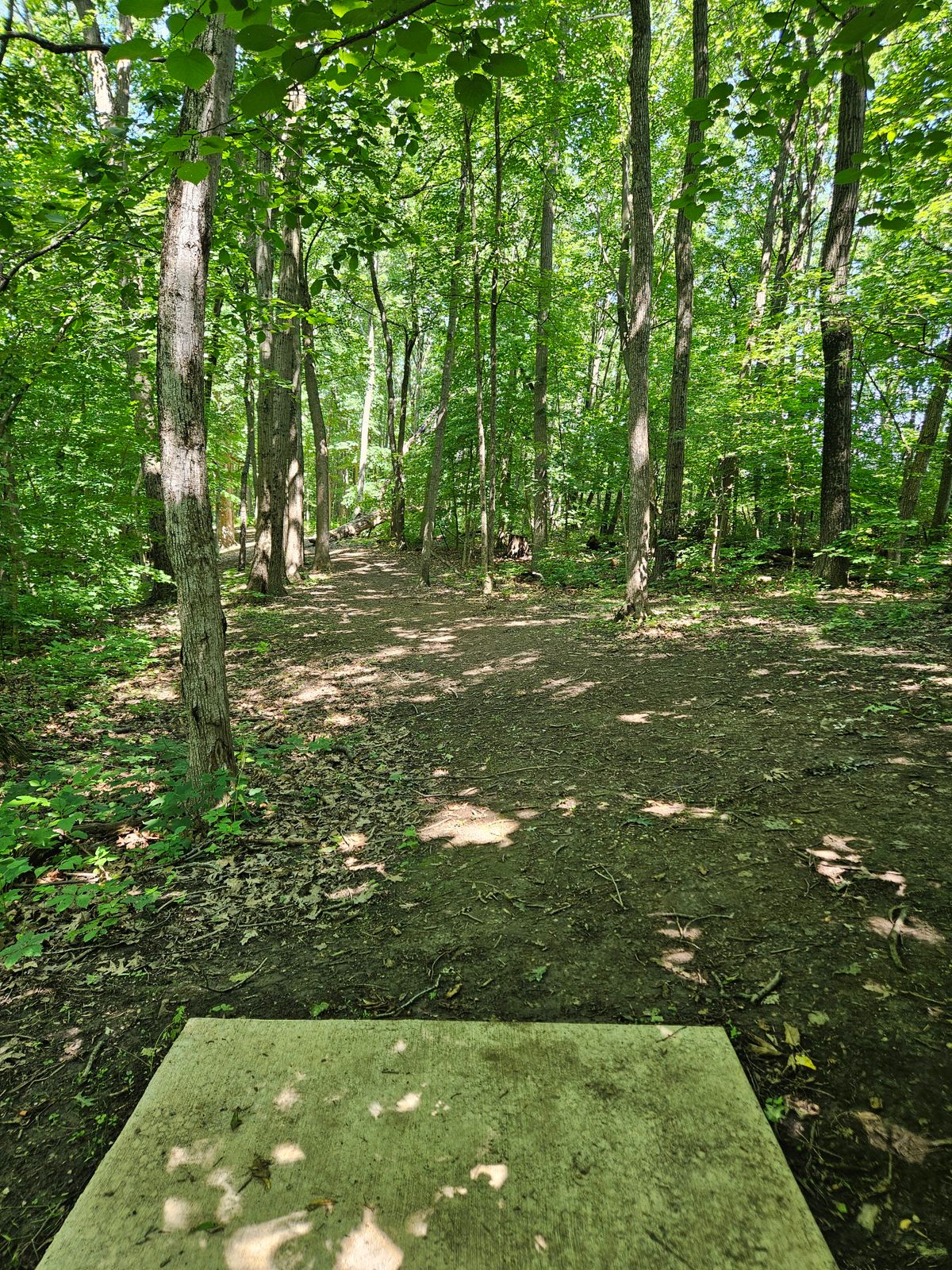Hole 5 teepad