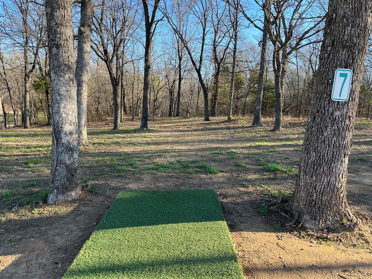 Hole 7, basket straight behind trees and creek