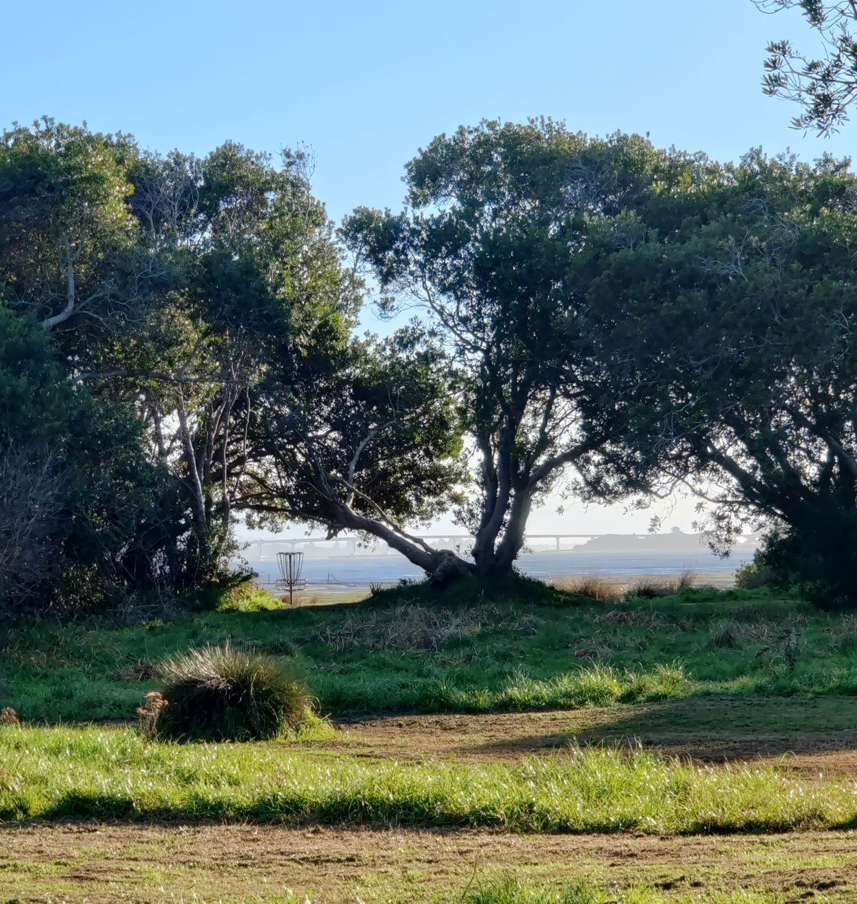 Beautiful view of the bay.  Hole 4's basket from 6's fairway