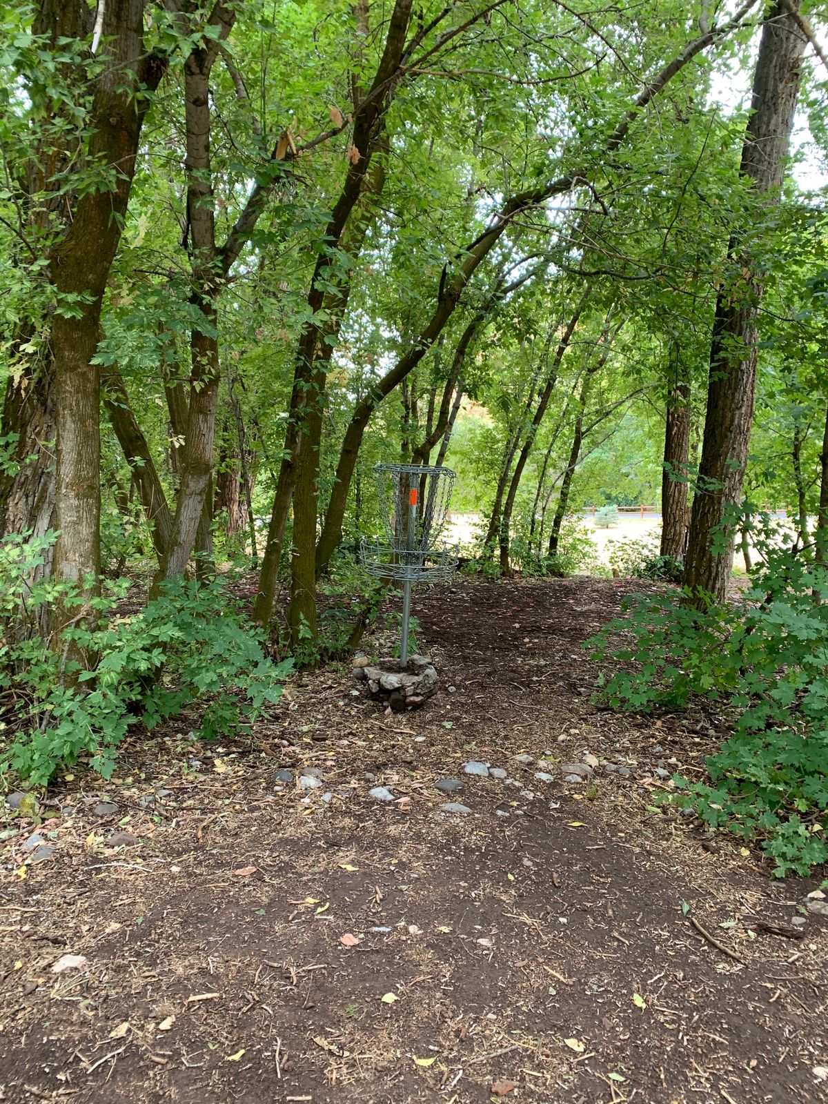 Hole 2 Basket