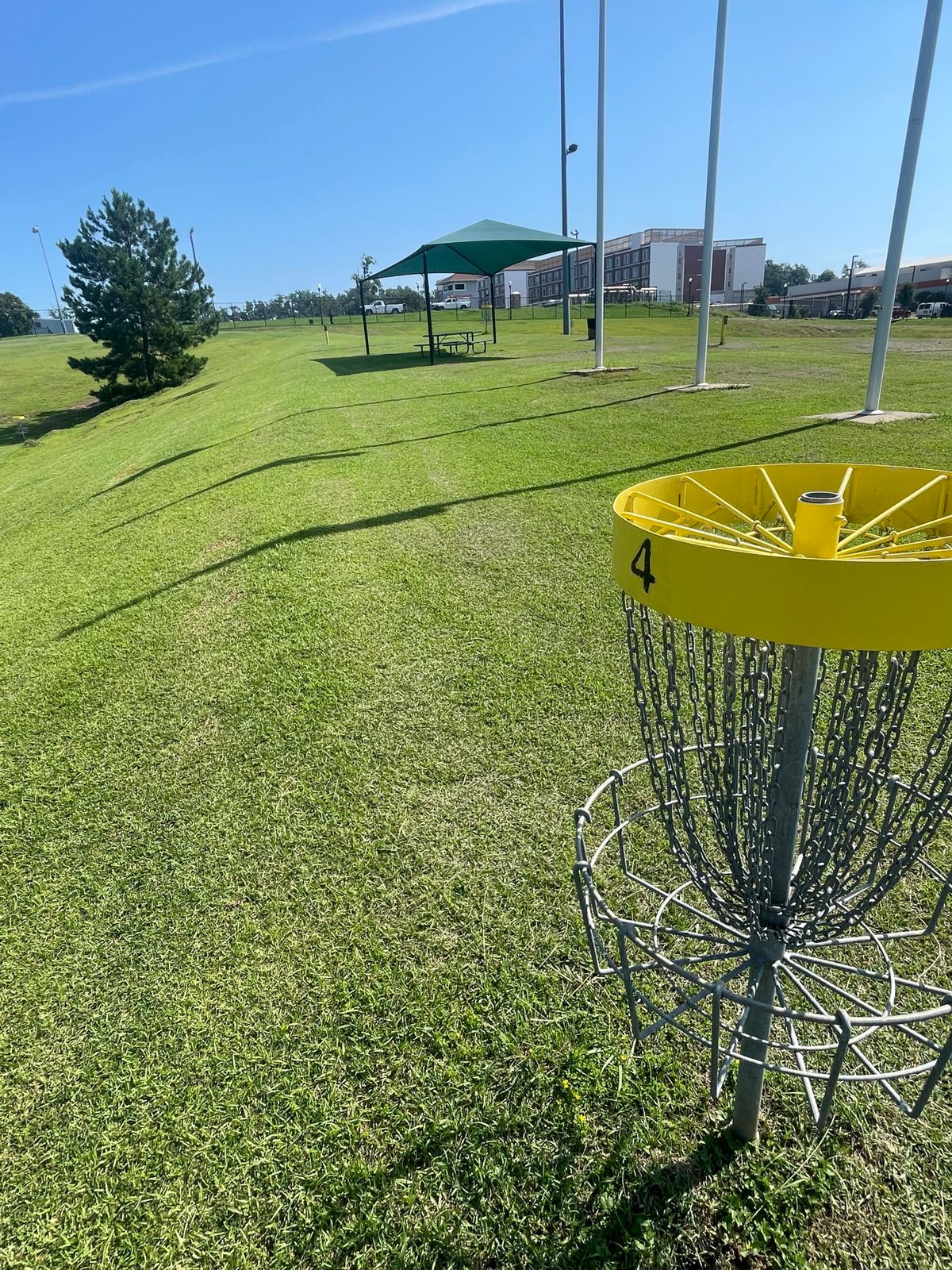 Basket 4. Basket 6 visible left. Basket 5 on the right of the tree