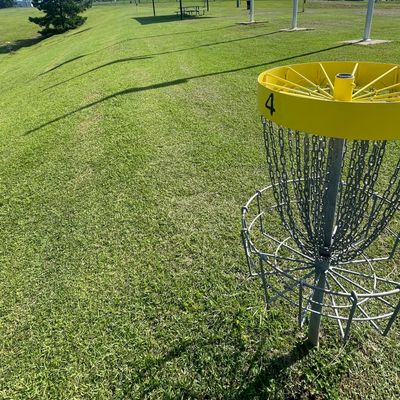 Basket 4. Basket 6 visible left. Basket 5 on the right of the tree