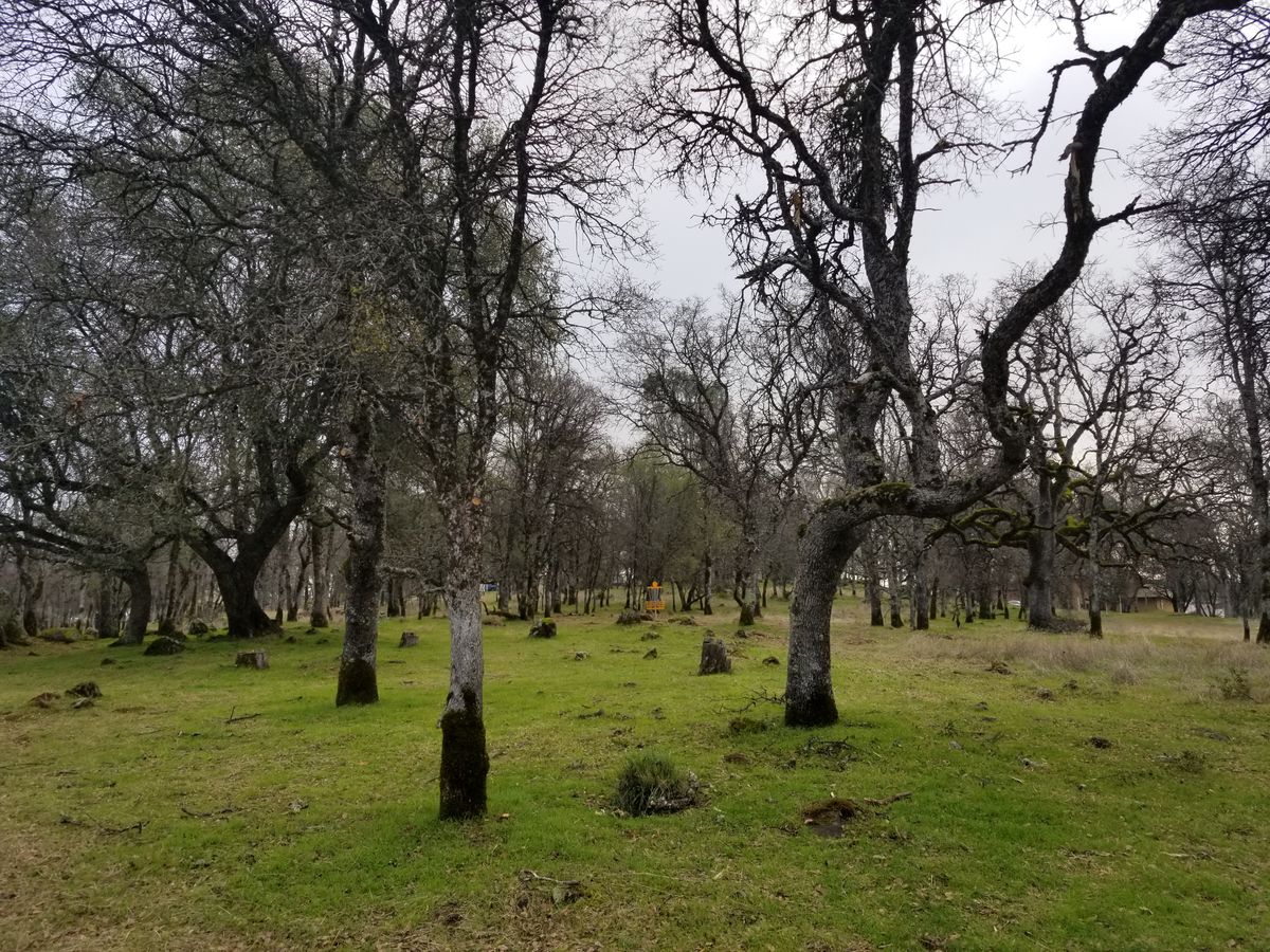 Hole 9 approach