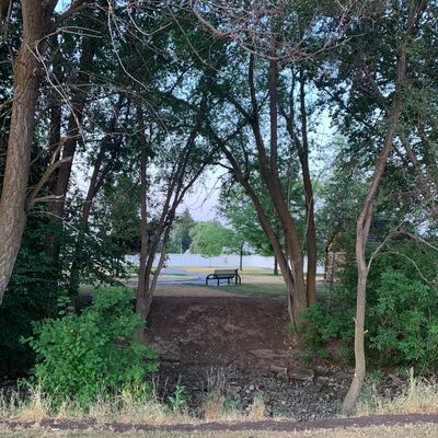 Hole 1 basket from tee pad