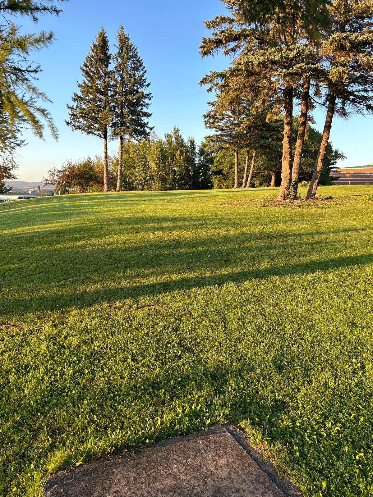 Hole 4- triple tree