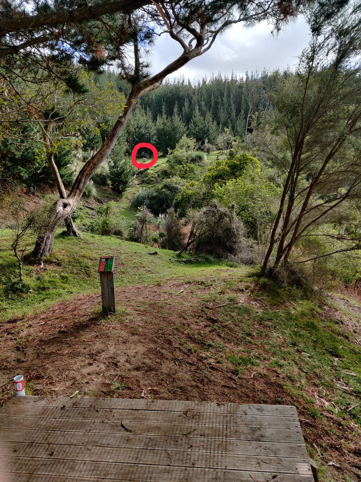 Good tee pad, death valley of lost discs below.
