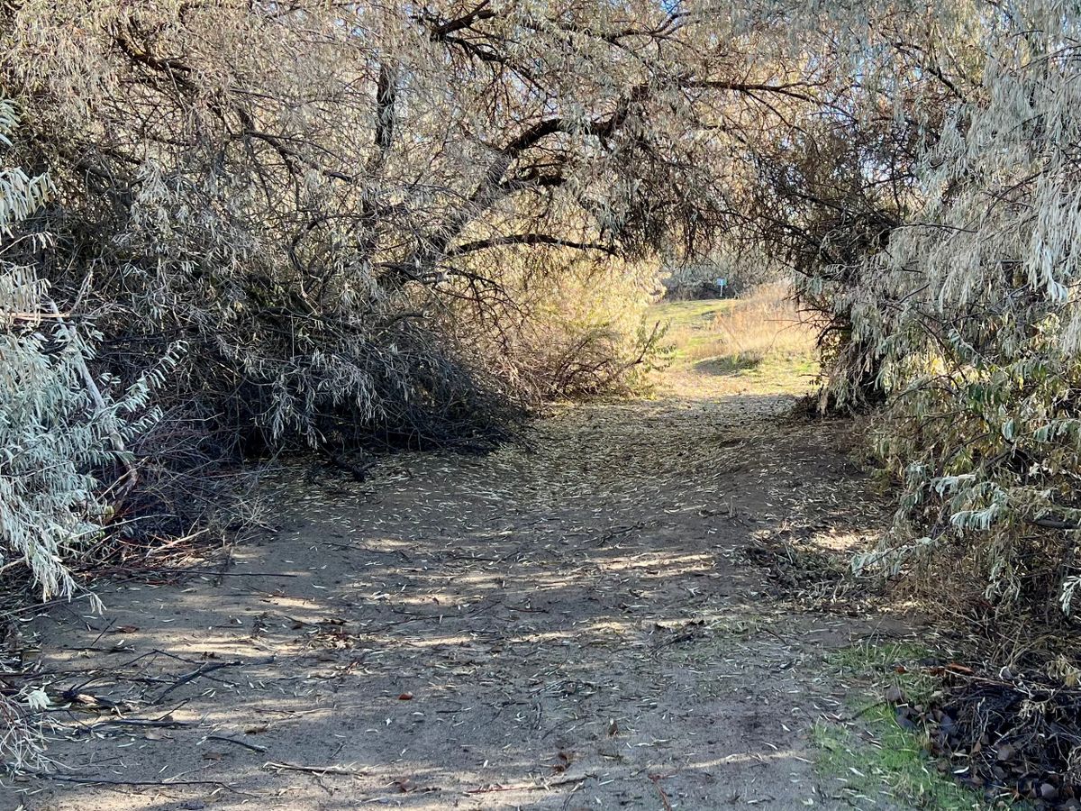 Between hole 2/3
