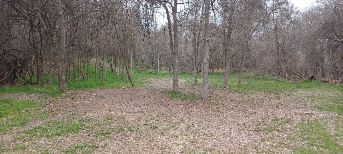 Hole 8