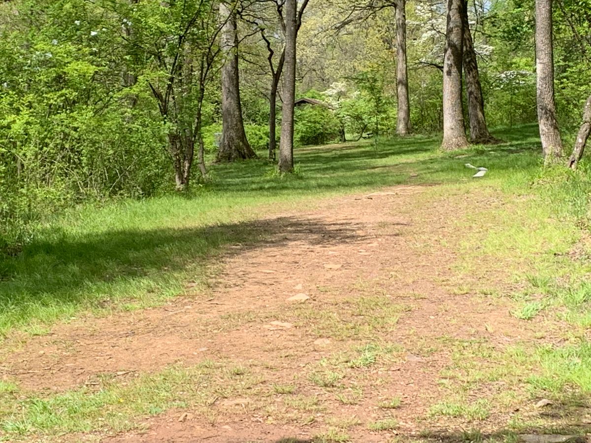 Hole 2 fairway