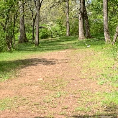 Hole 2 fairway
