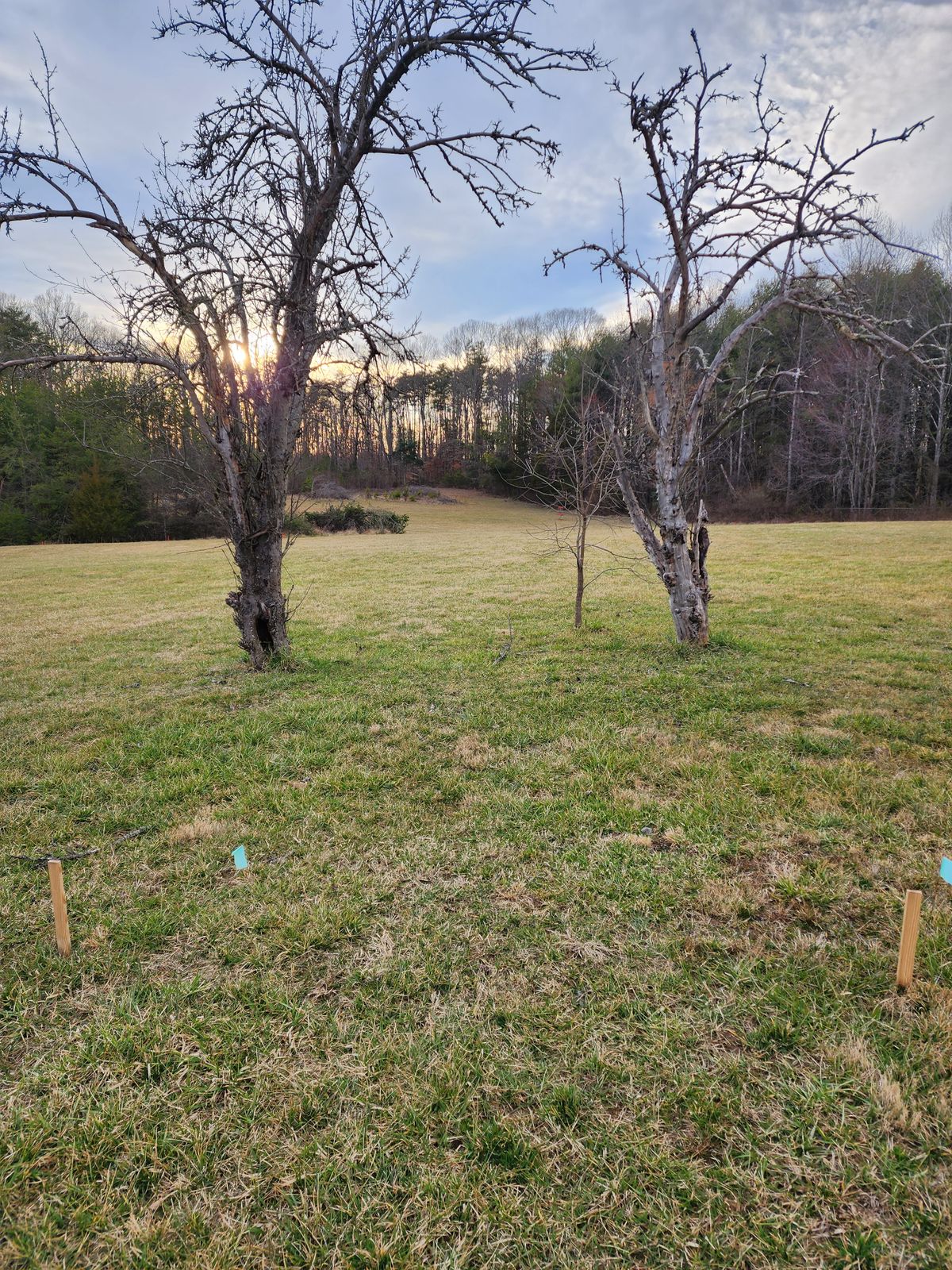 Hole 4 Short