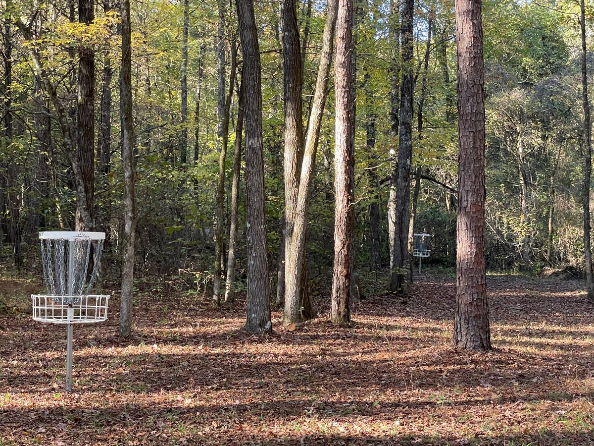 15 short and long baskets