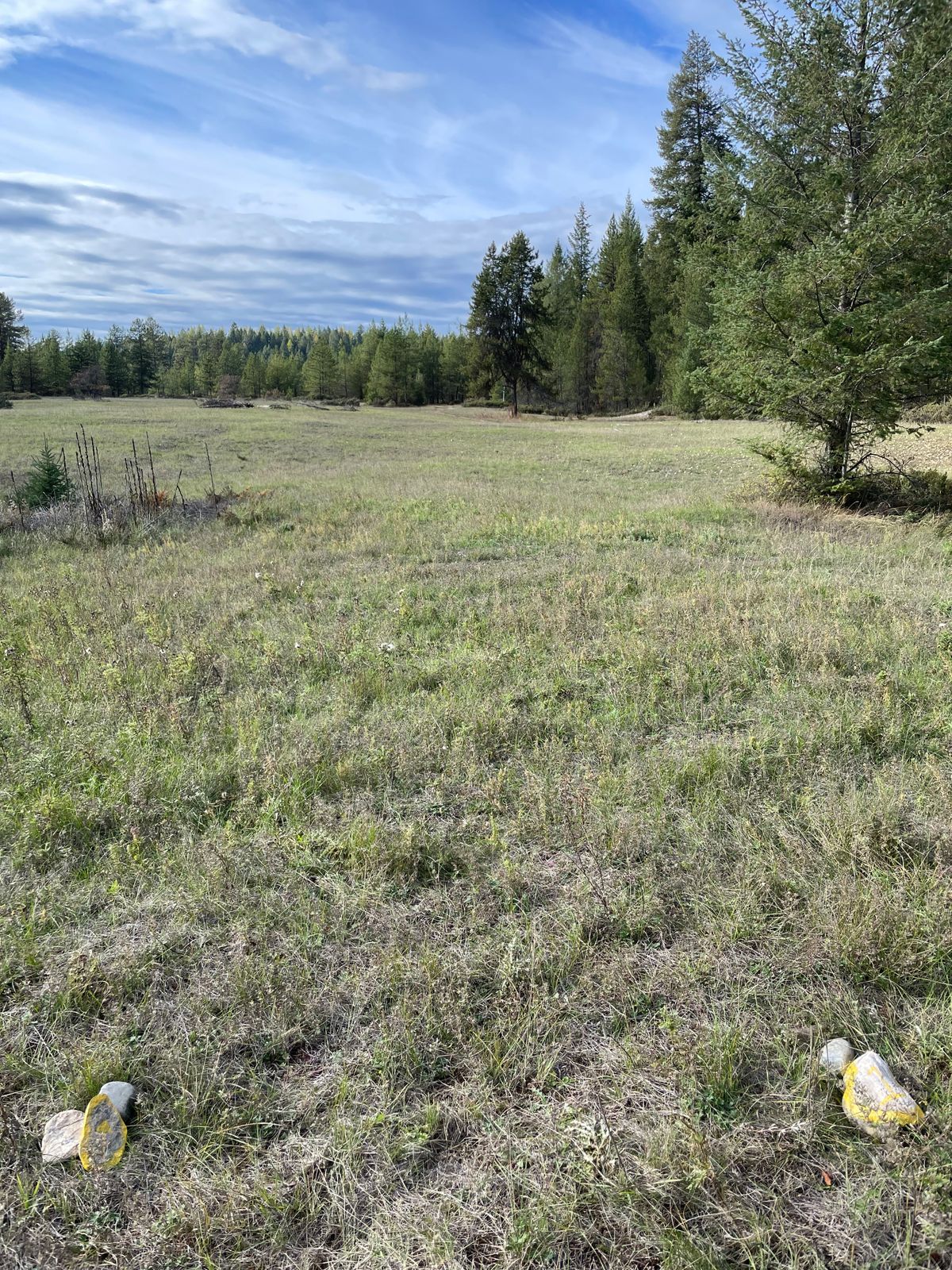 1st Hole tee