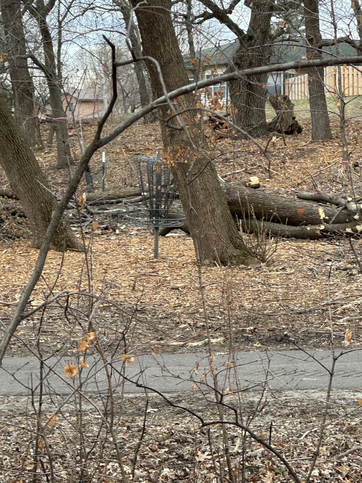 They’re cutting down All the Trees!! Hole #2 Unaccessible!