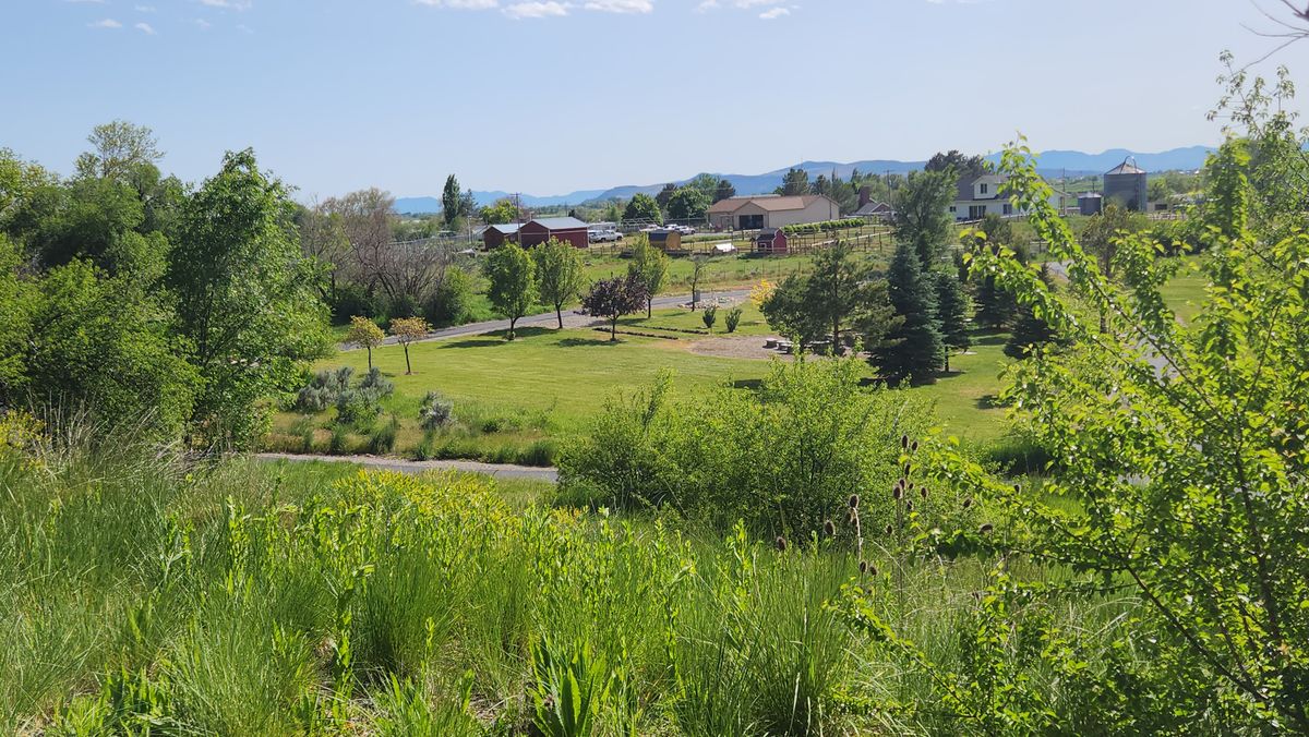 Hole 13, looking down.