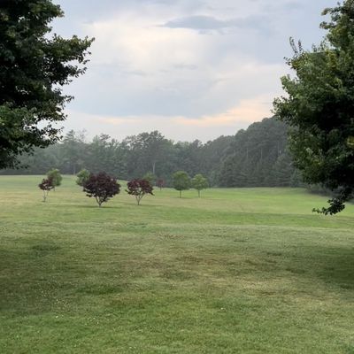Rainy summer day