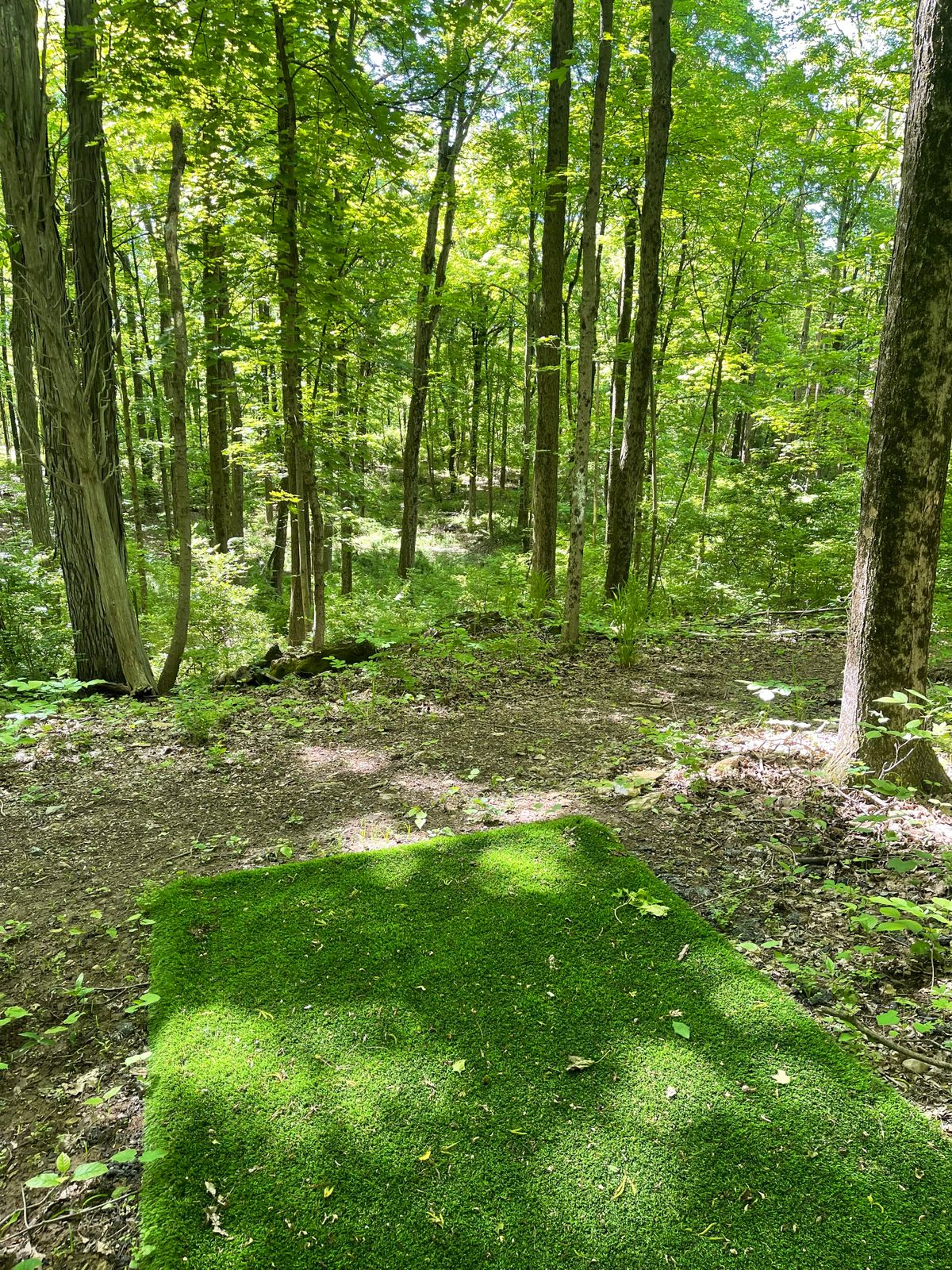Hole #9