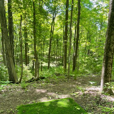 Hole #9