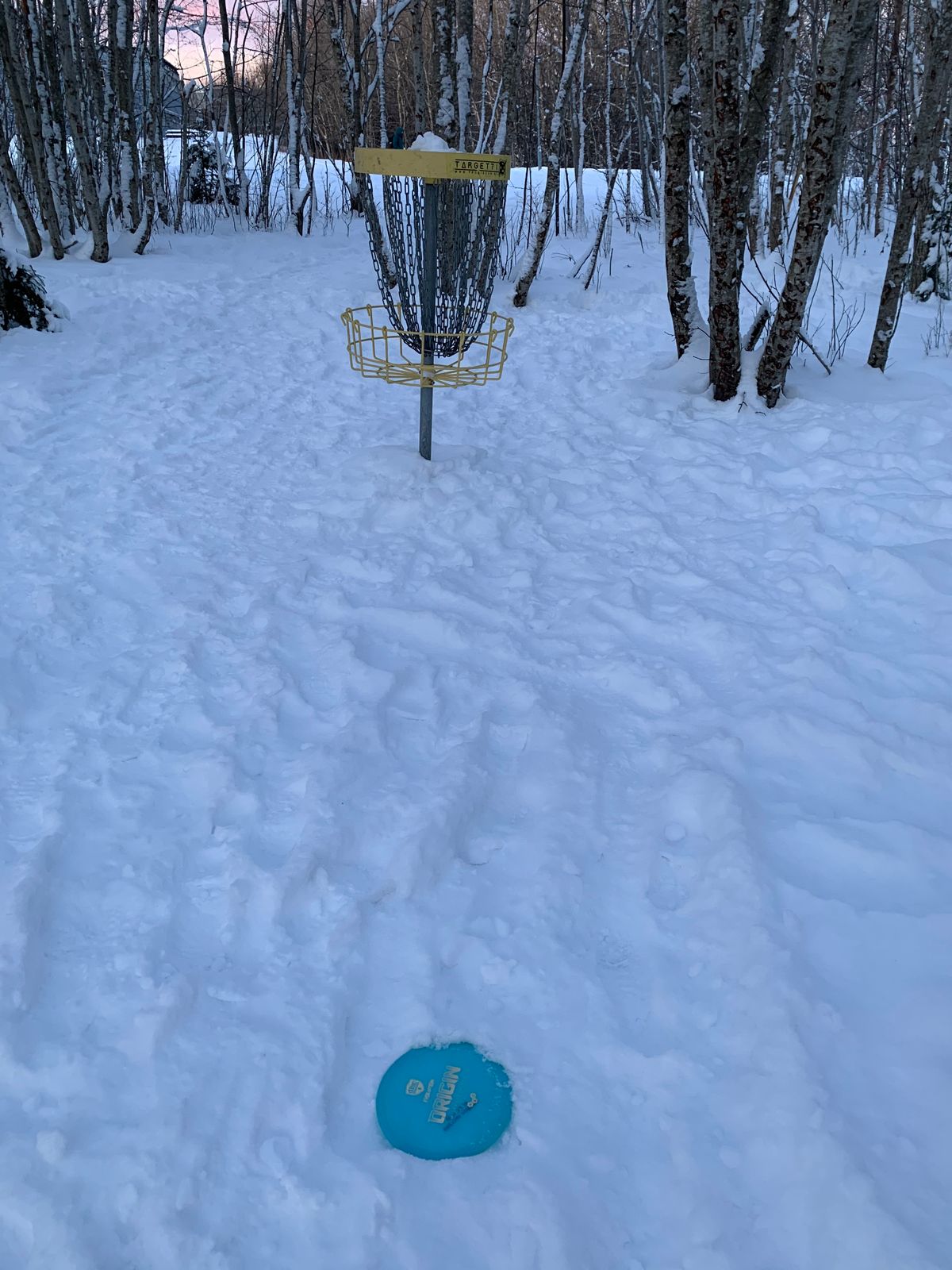 Basket (Hole 18)