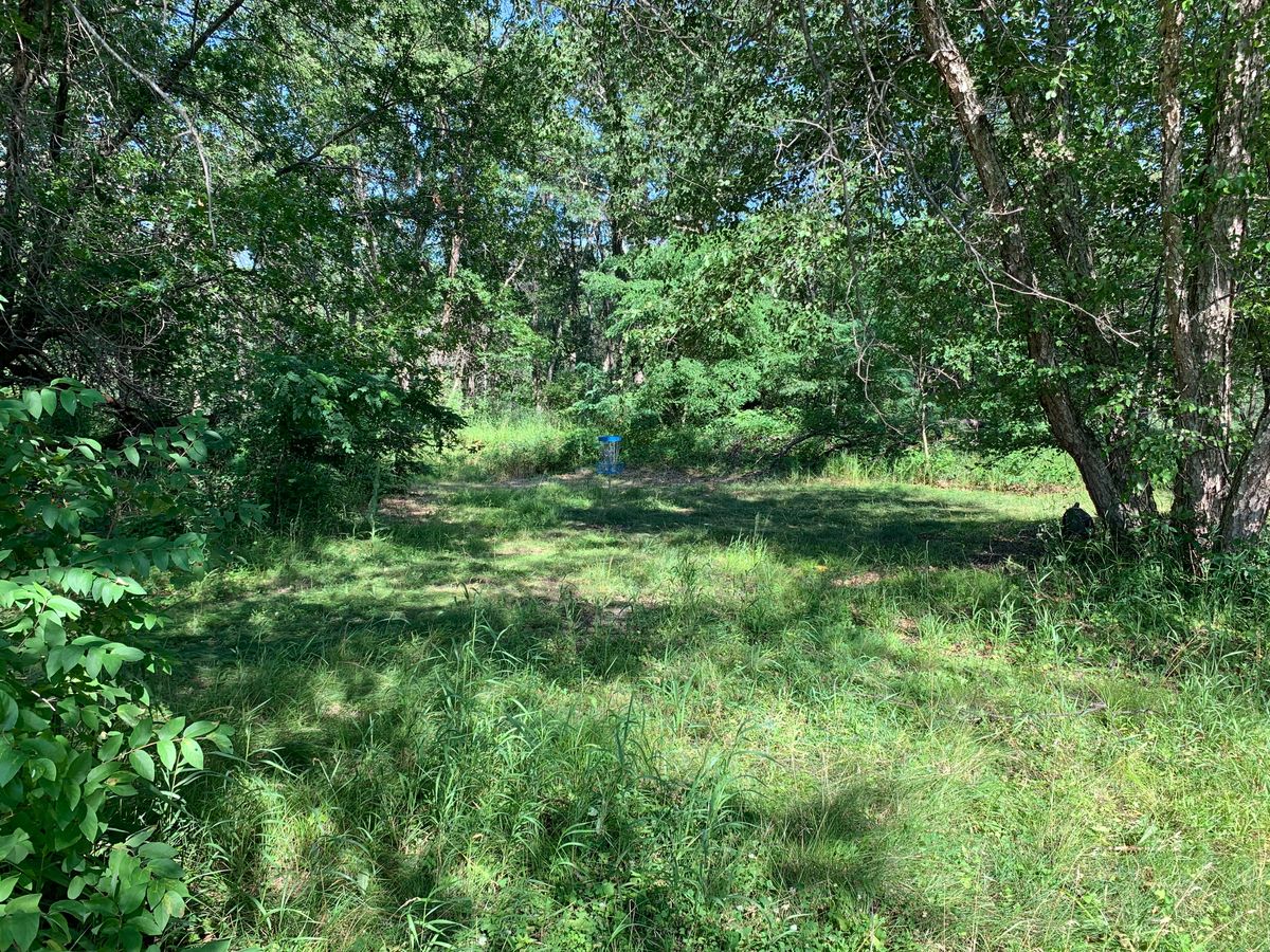 Hole 4 approach. (Will require some work.)