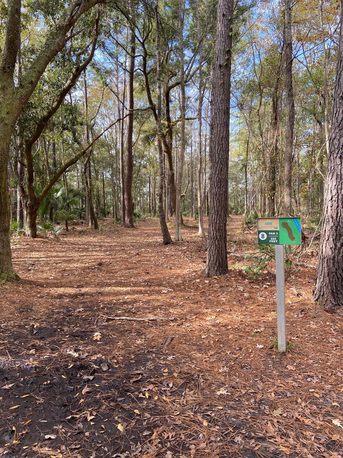 Hole 8