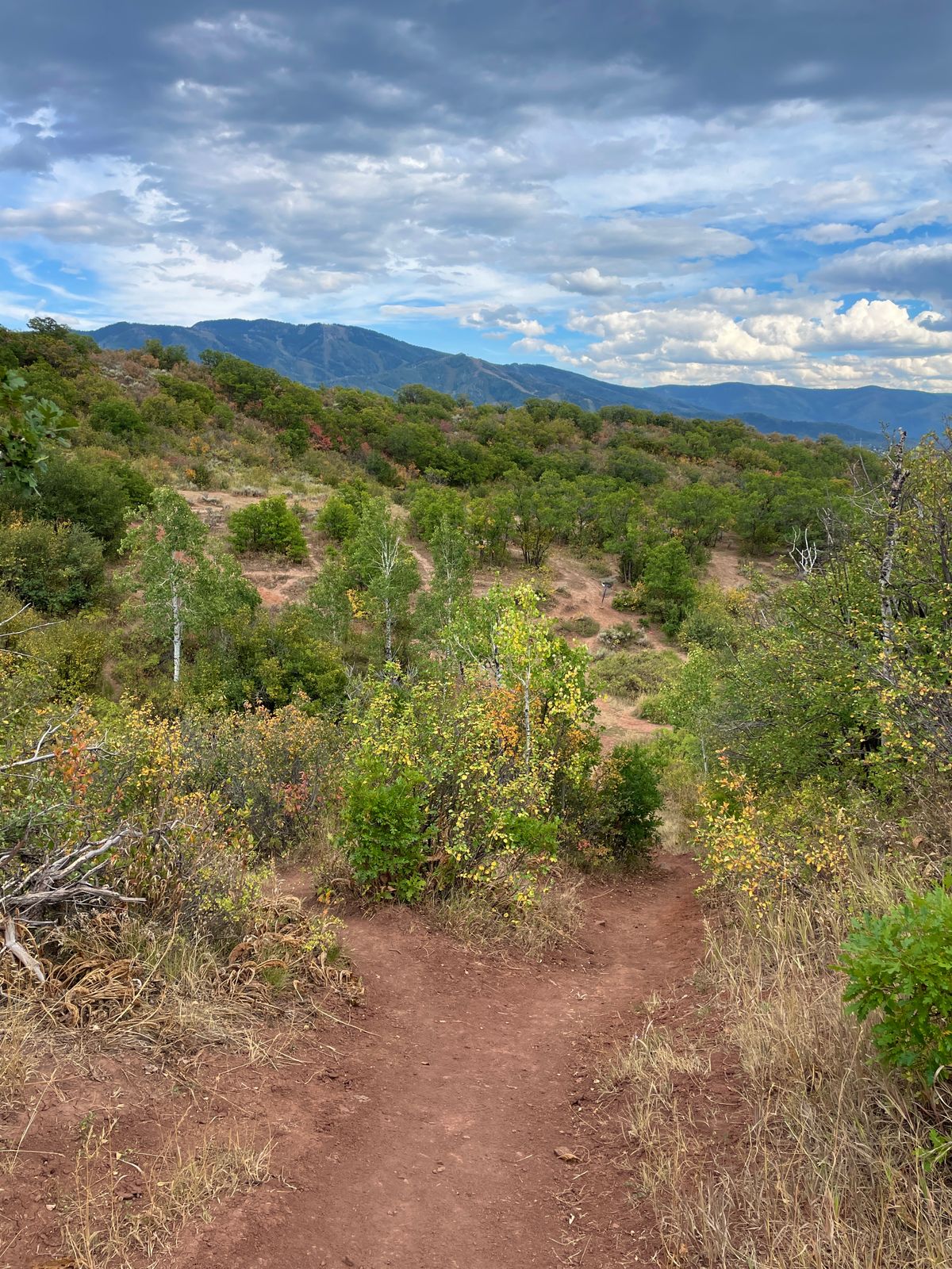 Hole 7 from the tee. Excellent view of Mount Werner in the background!