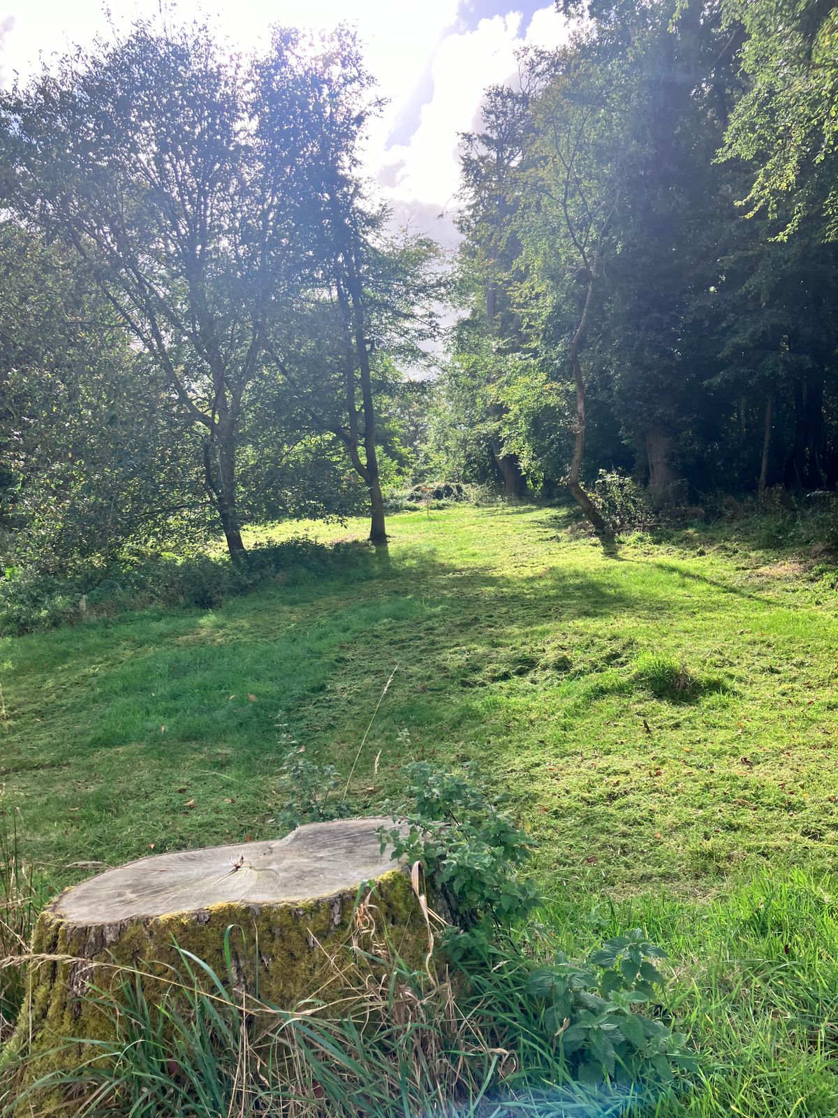 Hole 8 Gold approach
