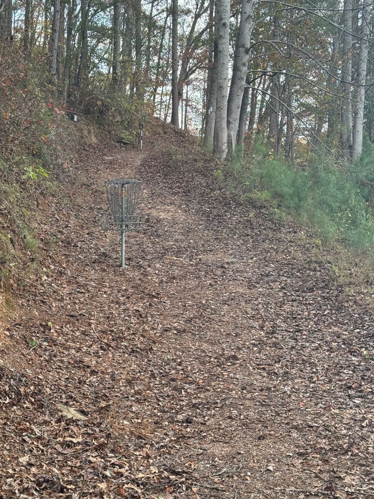 Hole 7 basket