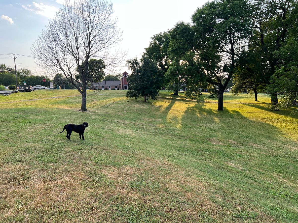 14 Fairway