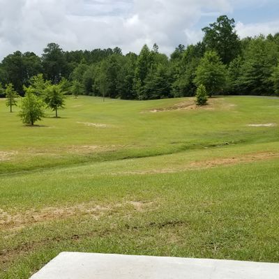 Tee 3. The basket is hiding behind a small tree behind and to the right of the fence to the diamond. (Tee 4 is up in the corner.)