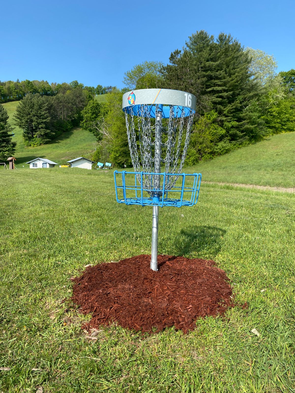 Hole 16 with new basket wrap