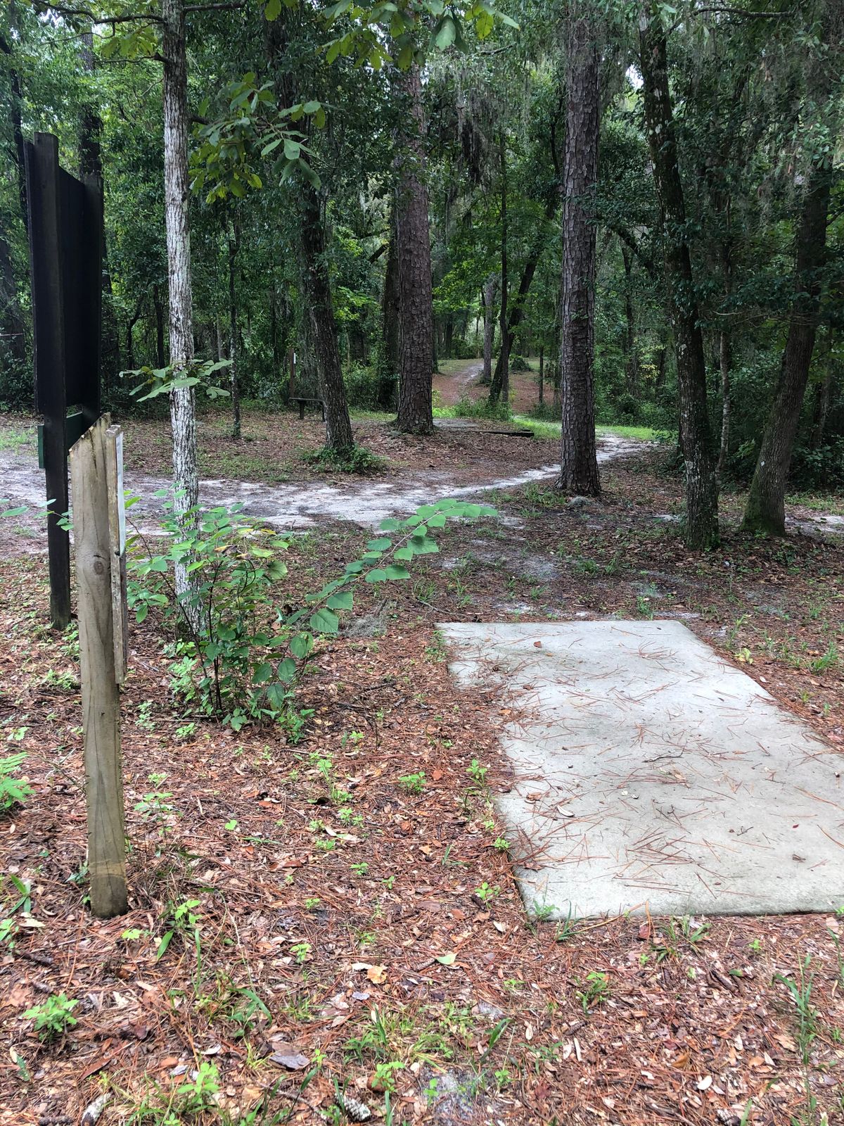 Short Tee, Hole 1