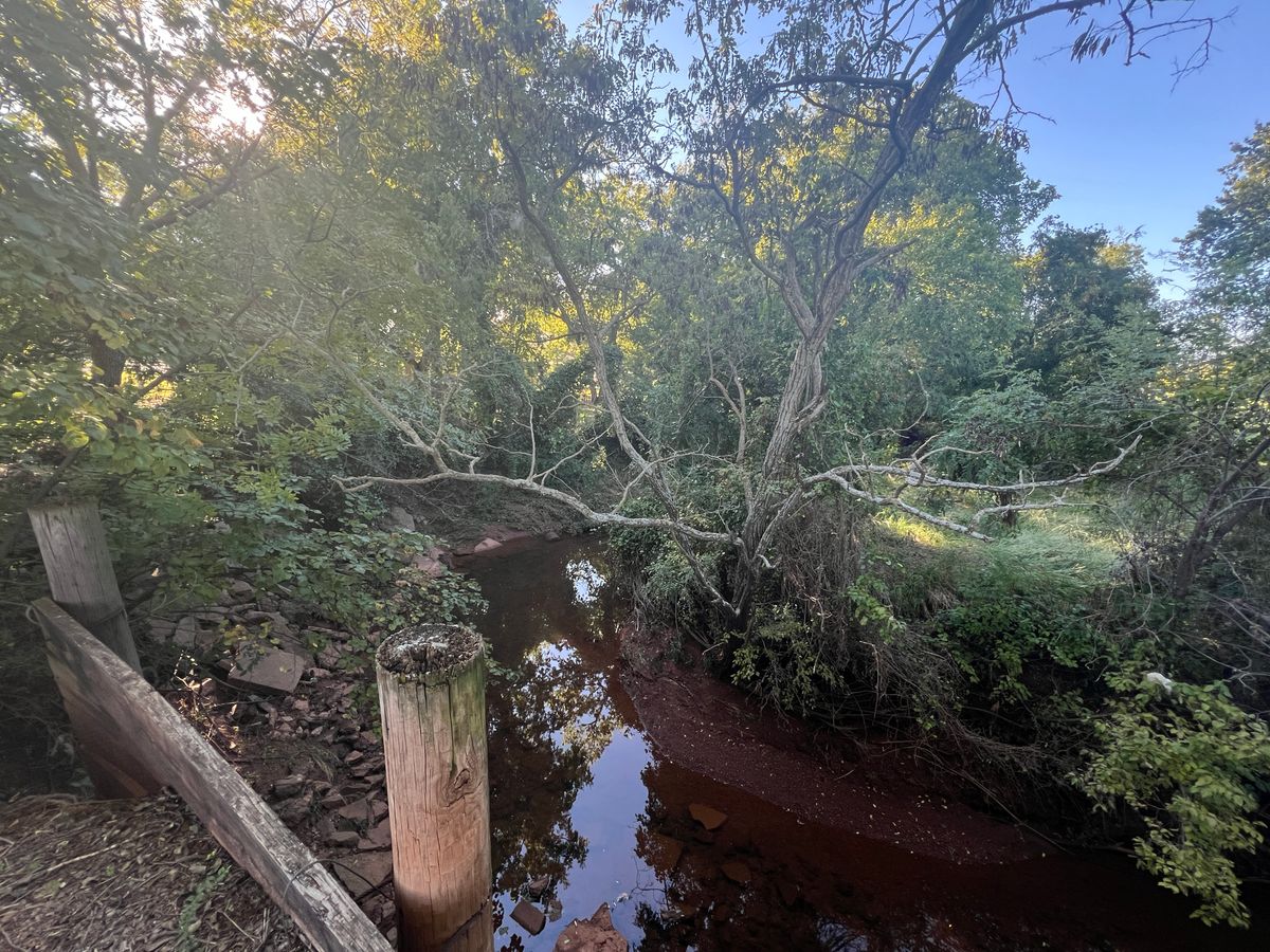 Hole 8 from the tee.