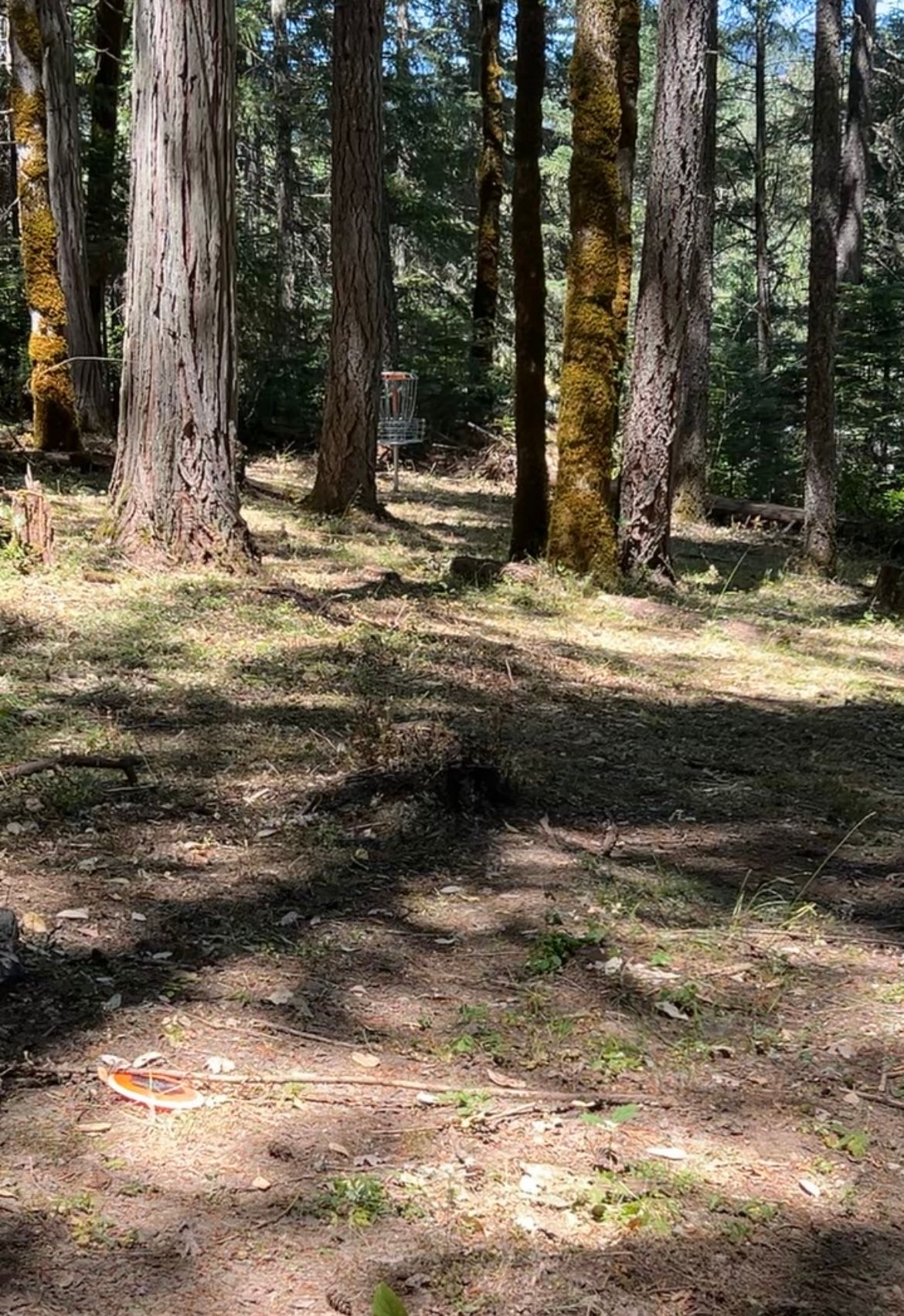 Hole 3’s basket