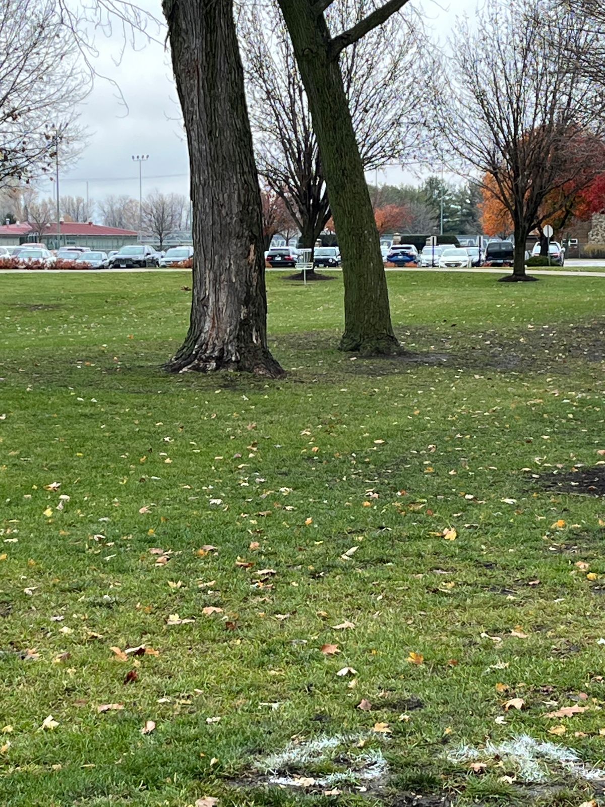 Hole 6