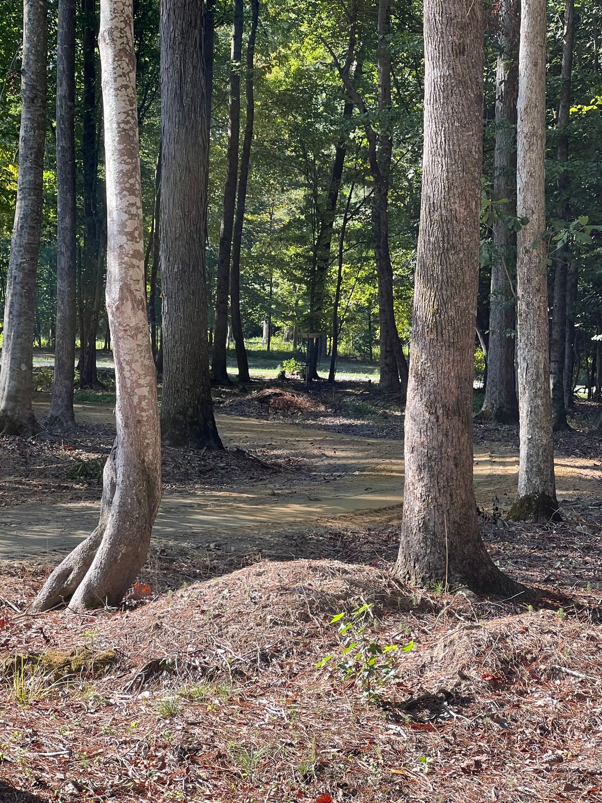 Hole 9 tee