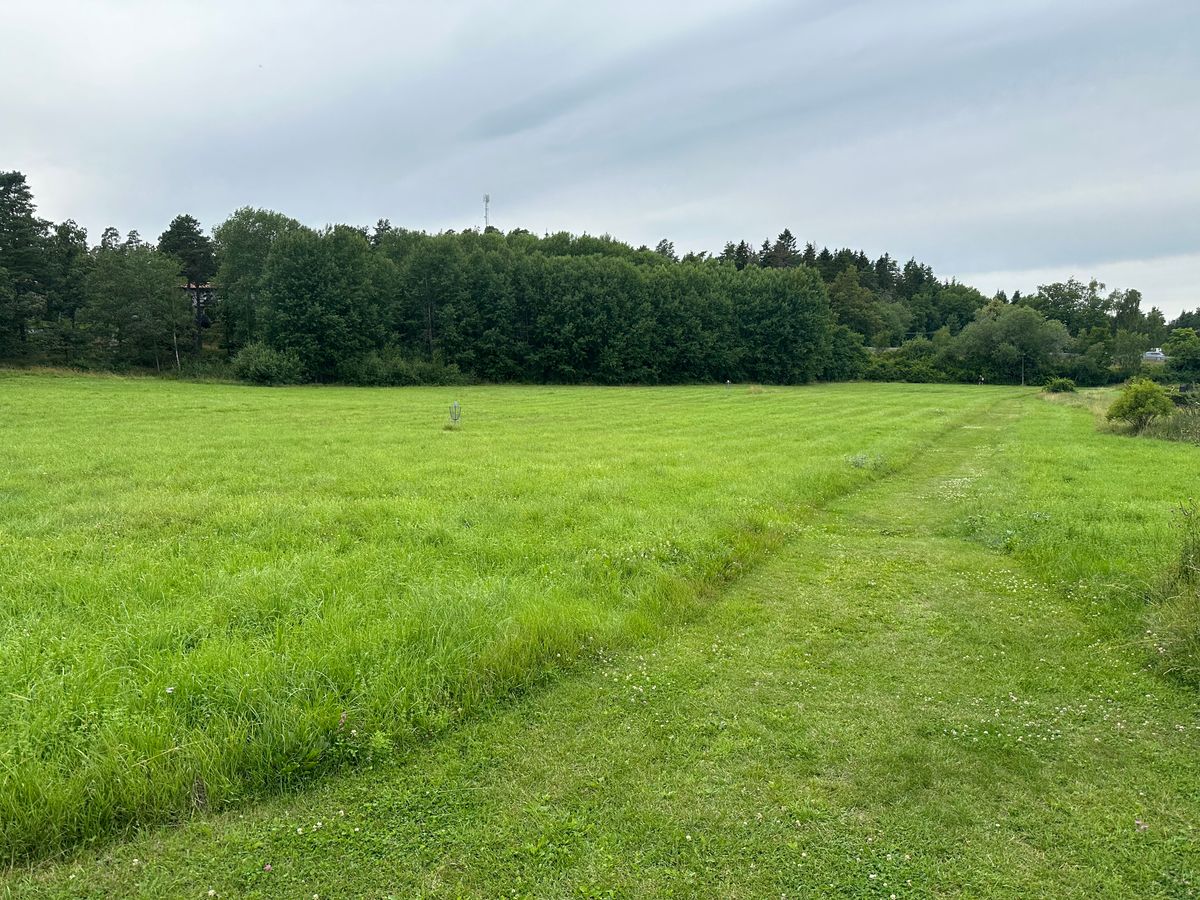 Alternativa tee mot 2 korgar.